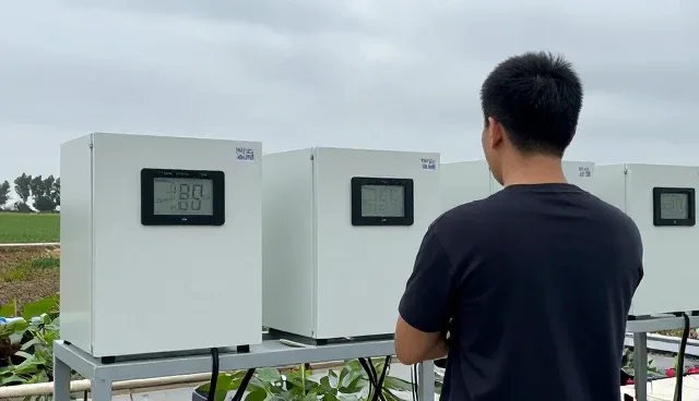 系统故障应对策略:农产品销售平台的维护建议
